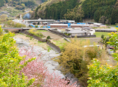 レイホク木材工業協同組合